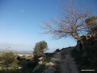 tapiccola-13-01-2013 09-10-14